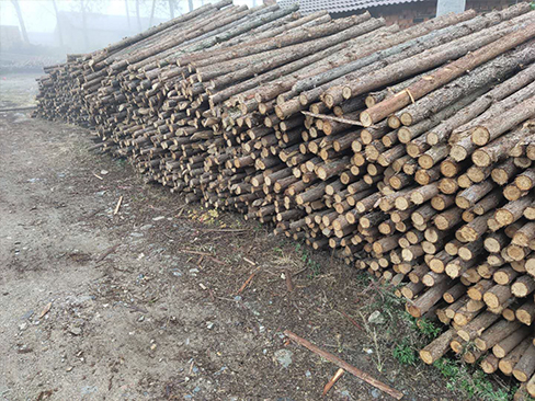 松木樁的強度和承重能力如何？